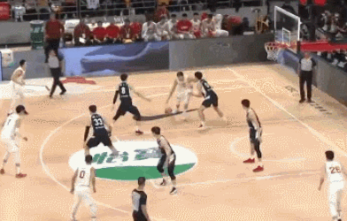 鹈鹕横扫国王，张镇麟高光表现