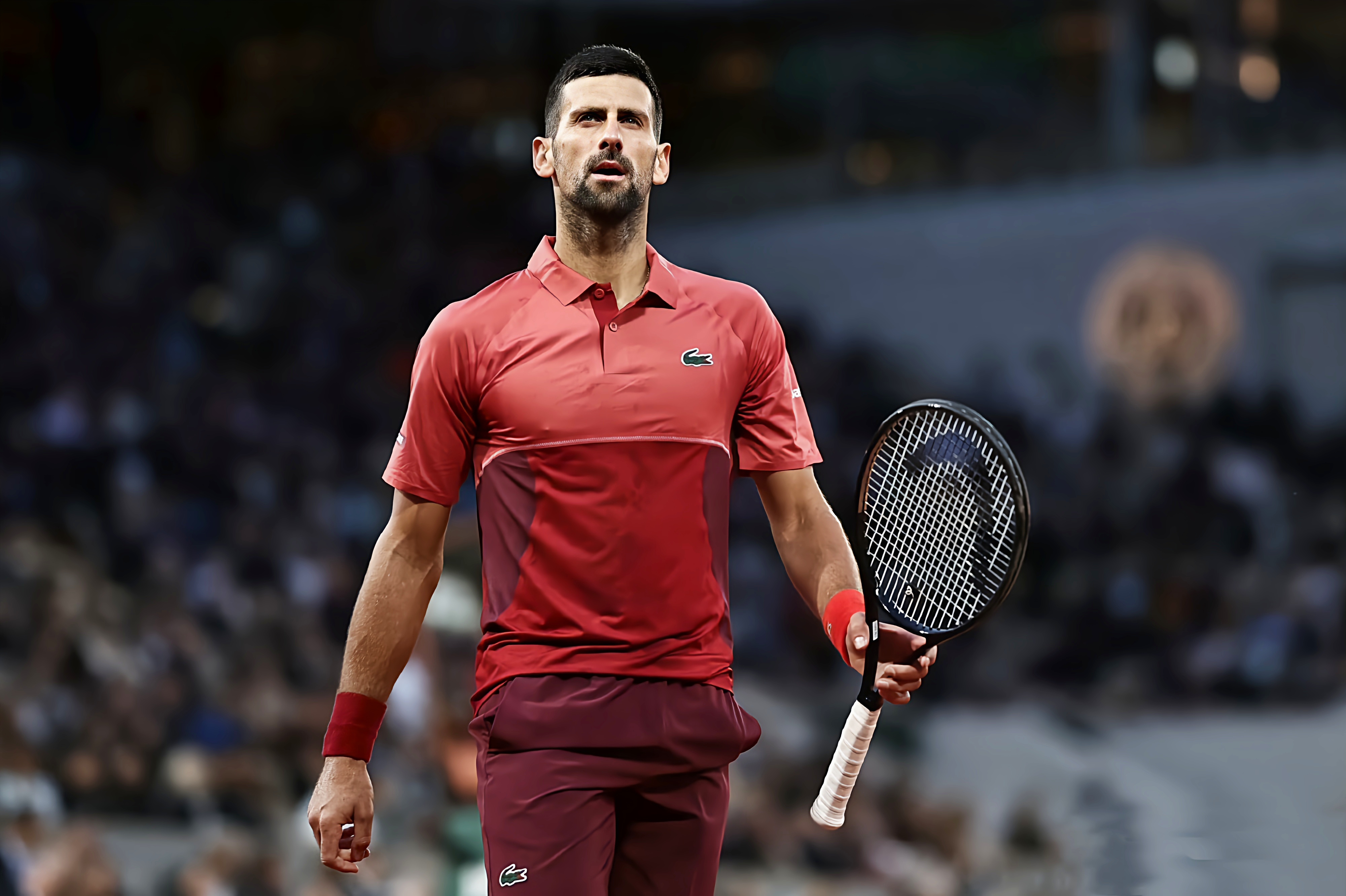 澳网碾压蒙特卡洛大师赛，德约科维奇高光表现