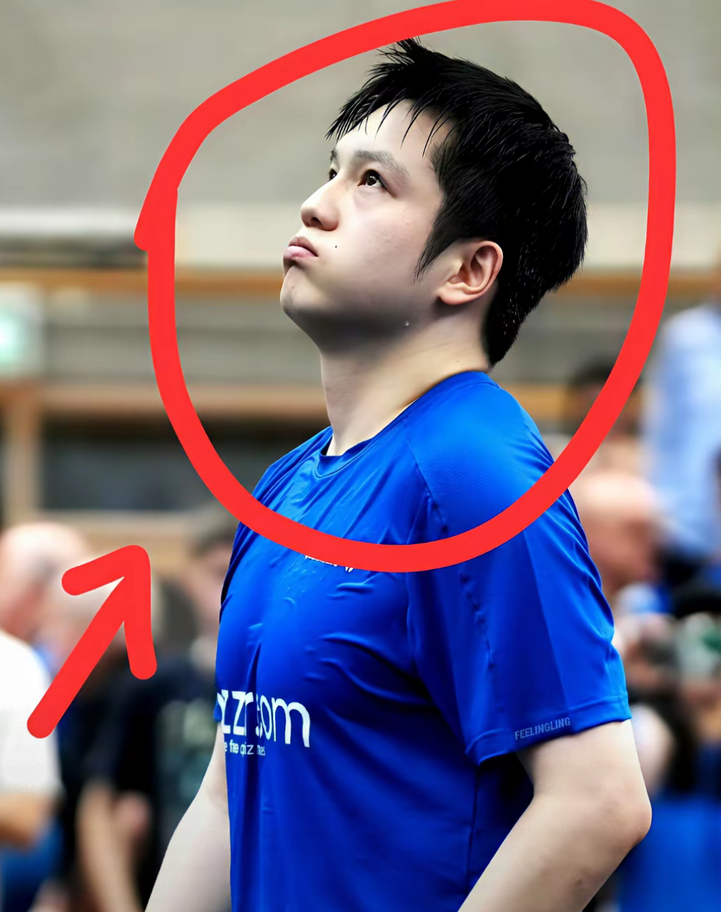 葡萄牙队横扫波兰队，樊振东关键制胜