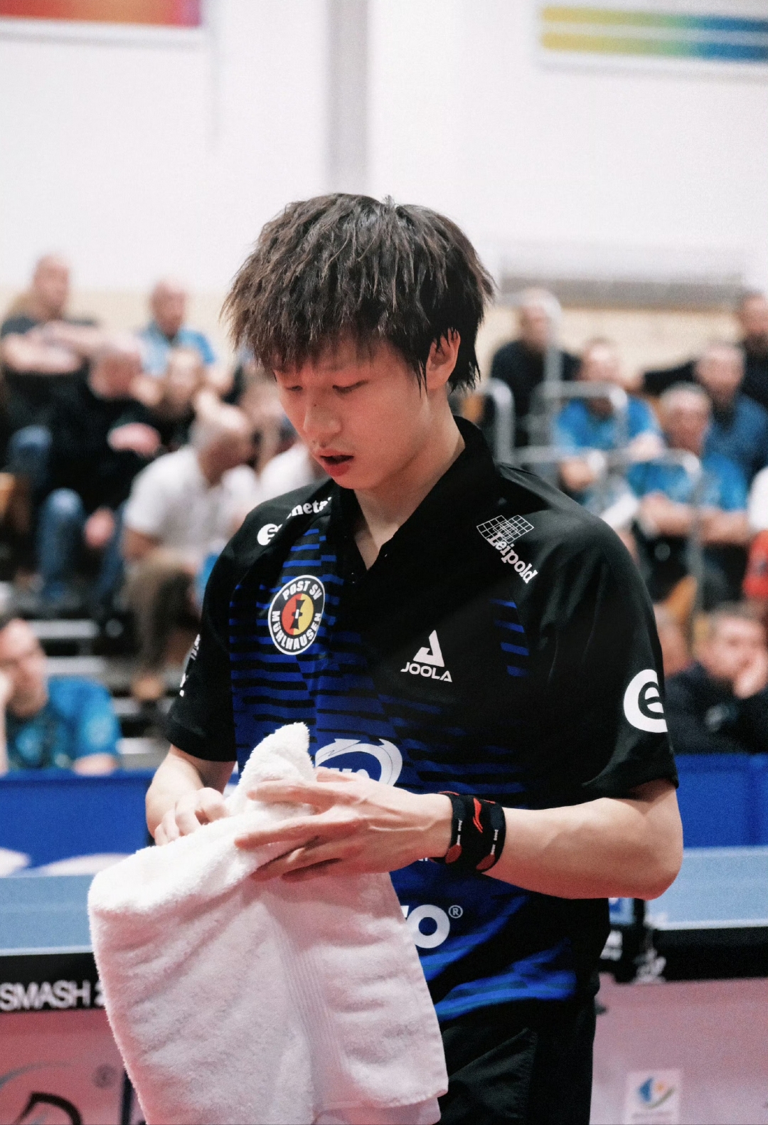 德国队横扫中国队，林高远状态火热