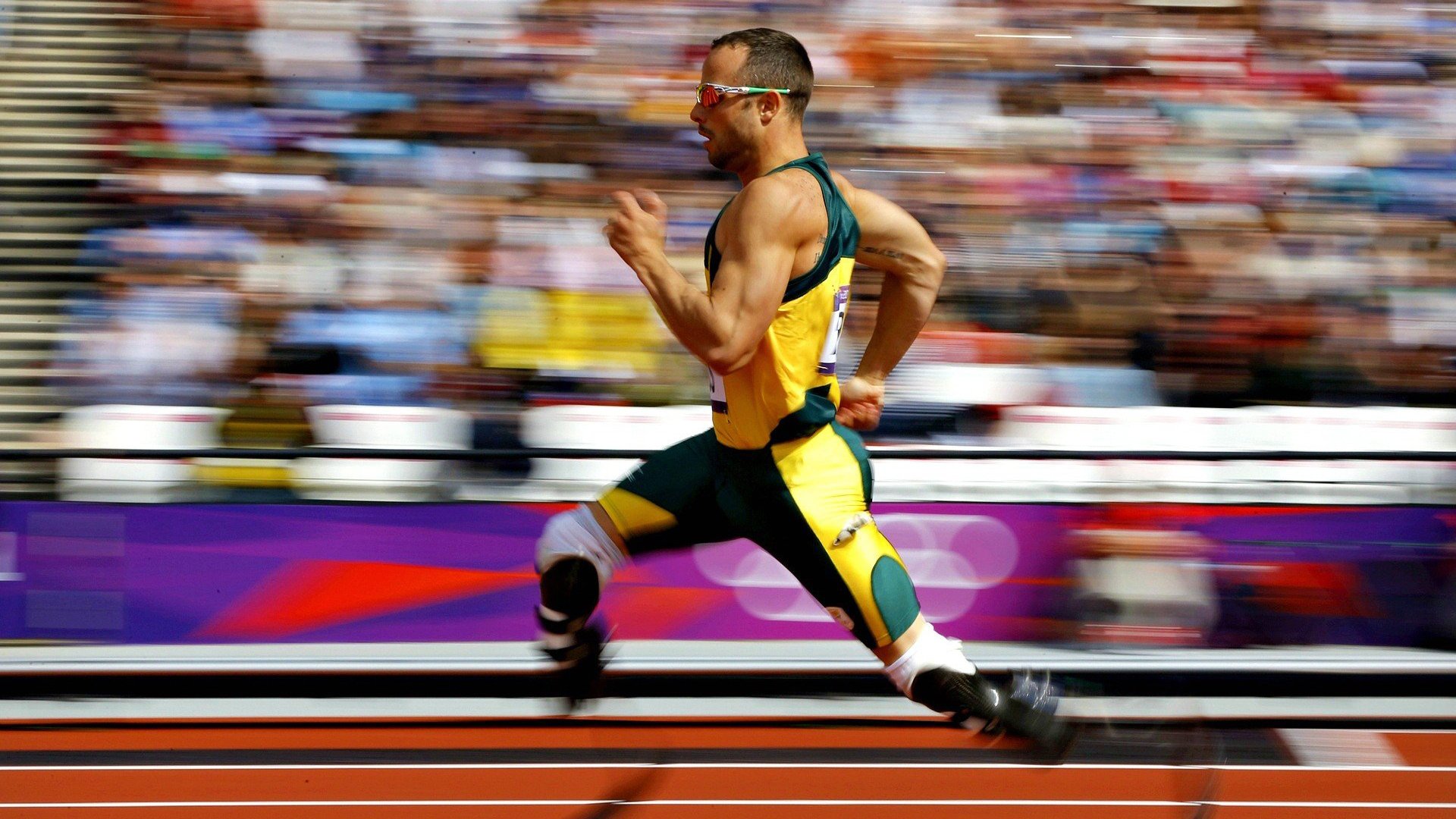 联合杯完胜美网？梅德韦杰夫刷新纪录背后的网球新格局