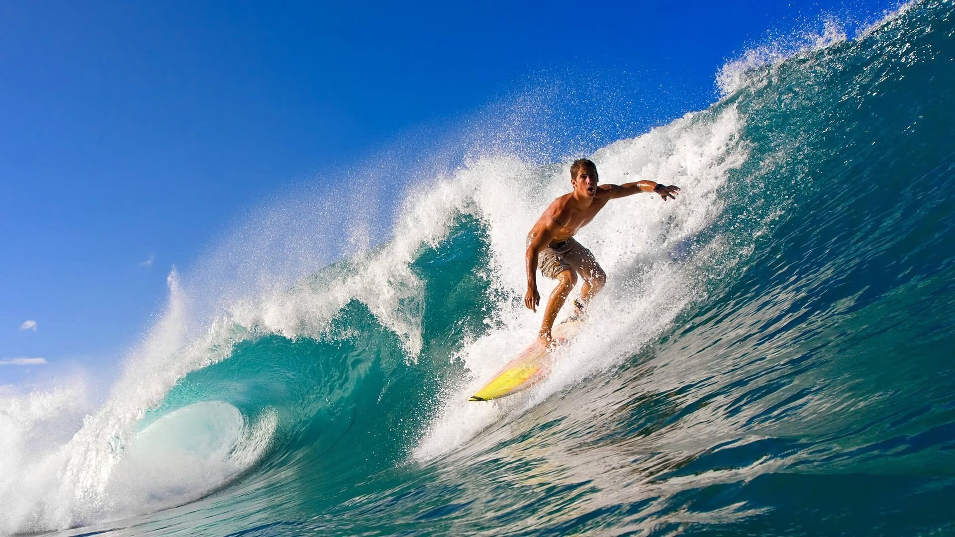 拉沃尔杯碾压年终总决赛？德约科维奇高光表现背后的网球格局之变